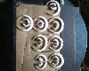 5 dewizowc�w strzeli�o 16 dzik�w w tym tych 8 8dy�c�w . Najd�u�szy or� 19,8 cm