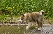 Jeszcze pa�ciu nie wyt�umaczy� �e na wr�ble nie polujemy:)