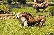 Poprawnie za�o�ony chwyt �ajce:)