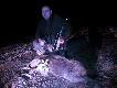 Dziczek m�ski nr 6.Waga 30kg...