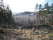 Przyk�ad skandynawskiej troski o prawie stuletniego my�liwego: �cie�ka podchodowa za�o�ona specjalnie dla niego, aby mia� blisko ze swego domku. Spaceruje ni� codziennie rano i wieczorem, w sezonie z broni�. Prawie codziennie co� strzela.. Nikt inny w pobli�u nie poluje.