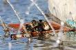 11-05-2012 Wroc�aw. Przed Magnoli� jest troch� wody z fontann� a tam ...