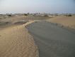 Zdj�cie 78:
Pustynia Thar.