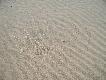 Zdj�cie 89:
Wiatr..
