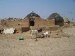 Zdj�cie 91:
Pustynia Thar do najg�ciej zamieszkana du�a pustynia �wiata. Prawie codziennie lub co drugi dzie� wje�d�ali�my do jakiej� wsi kupic wod� dla wielb��d�w i dla nas. Drogo, 75 groszy za wszystko.. Woda ze studni g��binowych, do niedawna by�y to obszary zupe�nie bezwodne.