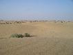 Zdj�cie 99:
Pustynia Thar.