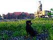 Oberschlesien