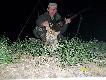 Zamiast dzika wyszed� lisek(nr3).DARZ B�R...