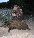25.05.2012 Kolejny Wyjazd w �owisko, Tym razem o poranku, z my�l� o spotkaniu Ciekawego Rogacza, Ale  �w.Hubert ma inne plany wystawia mi watah� dzik�w kt�ra wraca�a z rzepaku przez j�czmie�, na rozk�adzie ten oto dziczek. Rado�� Ogromna Darz  B�r.