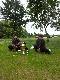 Berdysz, Chyb, Finka, dru�ynowe zwyci�stwo, Manowo  2012