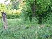 A co mi tu jaki� w moro �azi i my�li �e nie widze? pomacham mu