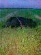 �u�awski odyniaszek w ca�ej krasie - jako�� zdj�cia kiep�ciuchna ale pod r�k� by� tylko telefon