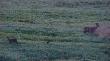 11-05-2012 04:40 Chyba po wieczorze kawalerskim wracaj�, bo jako� wszyscy tacy niewyra�ni :D