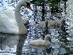ca�a czw�rka z mam� :)