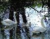 i ca�a rodzinka :)