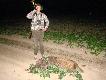 To by�o nasze drugie i zarazem ostatnie spotkanie. Dwa dni wcze�niej nie mia�em 100% pewno�ci czy to czasami nie loszka.Zobaczy�em tego dzika jak po�aszowa� buraki jakie� 400 metr�w ode mnie. Po 20 minutowym podchodzie dzik spisa� sw�j testament. Ostatni k�s, z�om wr�czony przez moj� �onk� i sygna� "Po�egnanie dzika" ni�s� si� echem po naszym �owisku. Darz b�r. 