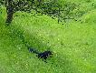 i Ob�j rzecz jasna :)