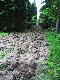 �wie�o za�o�ony pas zaporowy przy pomocy p�uga. Po usuni�ciu korzeni mo�na b�dzie u�y� talerz�wki.