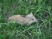 A z tym jegomo�ciem chcia�bym si� spotka� za 5 lat...