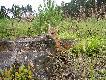 Podano do sto�u ;)
