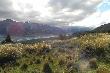 Pi�kne widoki w NZ