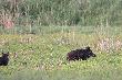 30-06-2012. Gdzie� trzeba sie schowa� bo robi si� dzie�.