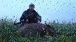 08-07-2012 Po prawie godzinnym i kilometrowym podchodzie uda�o sie strzeli� urodzinowego przelatka.