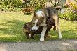 "Nie takim jak ty gard�a zak�ada�am..." ;))) (fot.Becaz wn)