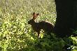 
...mia� mocny sen...7 metr�w mia�em do niego jak ruszy�