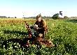 Pami�tkowe zdj�cie, kt�re upami�tnia polowanie w zachodnio-dziko-pomorskim (jak m�wi darzb�rnik74). Wielkie dzi�ki Kolego Basior1 za mile sp�dzone chwile w Twoim przepi�knym obwodzie.