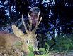 wybaczcie,�e zmusza�em Was obraca� g�ow� przy poprzednim zdj�ciu...tutaj troch� podrasowane. Niestety jak si� robi z kom�rki, to picasa si� przydaje