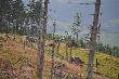 Widok na drabine wybudowana w 2008 roku