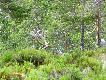 Foto 4/15.
Teraz podch�d �atwiejszy.