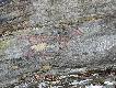 Foto 100:
Inne g�ry, inne ryty naskalne:
dziwny zwierz..
