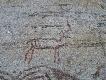Foto 103: Inne g�ry, inne ryty naskalne:
Renifer.