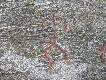 Foto 103: Inne g�ry, inne ryty naskalne:
:-)