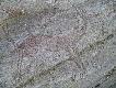 Foto 112: Inne g�ry, inne ryty naskalne:
Jele�.