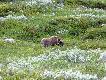 Foto 5/5. A za rogiem? A za rogiem jest pi�mow�.
