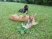 My�l�, �e kazdy z nas chcia�by mie� na �cianie tak pi�knego, starego, a zarazem mocnego selekta...