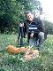 Rogacz w bardzo s�abej kondycji. W skupie waga 11 kg - trofeum s�abo wybarwione. Gratuluj� Koledze sukcesu. Darz B�r.