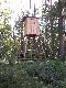 Ambona na n�cisku- od strony n�ciska dzik�w, w tle m�j �uczek.