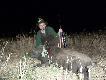 W sierpniow� pe�nie cztery przelatki zasmakowa�y si� w owsie... po 243WSSM jeden pojecha� ze mn�...