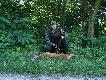 Tegoroczny urlop. Wid�ak w drugiej g�owie.