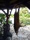 Tym razem pewny strza� do warchlaka:-) (5-ty w sezonie).