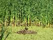 Ju� nied�ugo ... wodery i do wody ;)