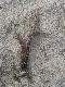 05.08.2012.Spacer po wydmach op�aci�