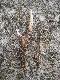 05.08.2012.Spacer po wydmach op�aci�