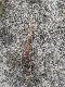 05.08.2012.Spacer po wydmach op�aci�