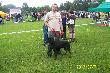 XXXIX  Warmi�sko - Mazurska Wystawa Ps�w Rasowych Olsztyn -01.07.2012r. Atos Kolonia Ba�y�ska, lok. I, ocena doskona�a, zw. m�odzie�y, Najlepszy Junior