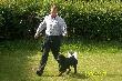 XX Mi�dzynarodowa Wystawa Ps�w Rasowych, Sopot-12.08.2012r. Atos Kolonia Ba�y�ska, lok. I, ocena doskona�a, zw. m�odzie�y, Najlepszy Junior. M�odzie�owy Champion Polski !
